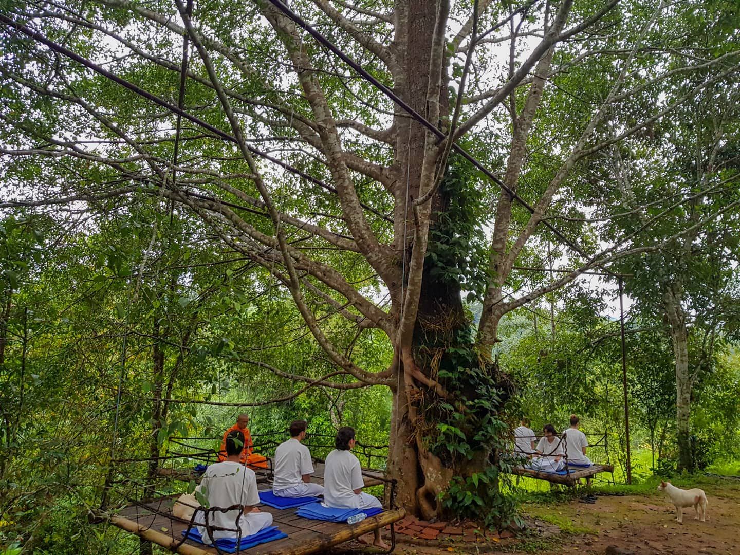 Pa Pae Middle Way Meditation Retreats Chiang Mai Thailand