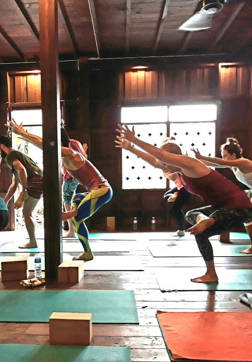 students in Earth Vinyasa Flow at wild rose yoga chiang mai. Students in standing balance posture standing pigeon.