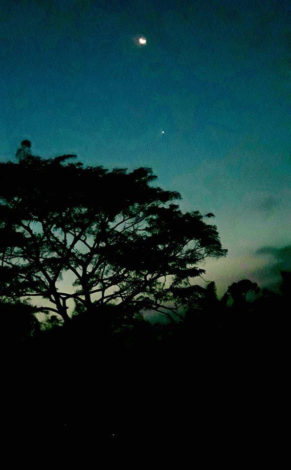 Words that Nourish in the time of Corona Virus