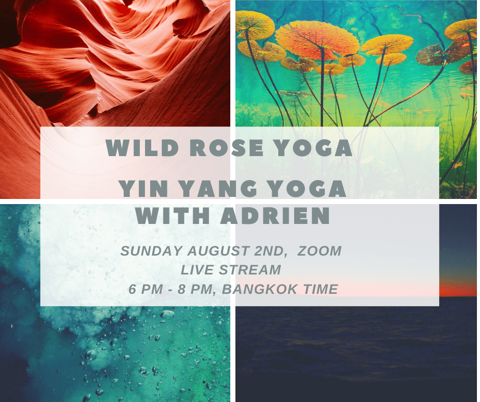 Zoom Yin Yang Yoga with Adrien Wild Rose Yoga Zoom Claases