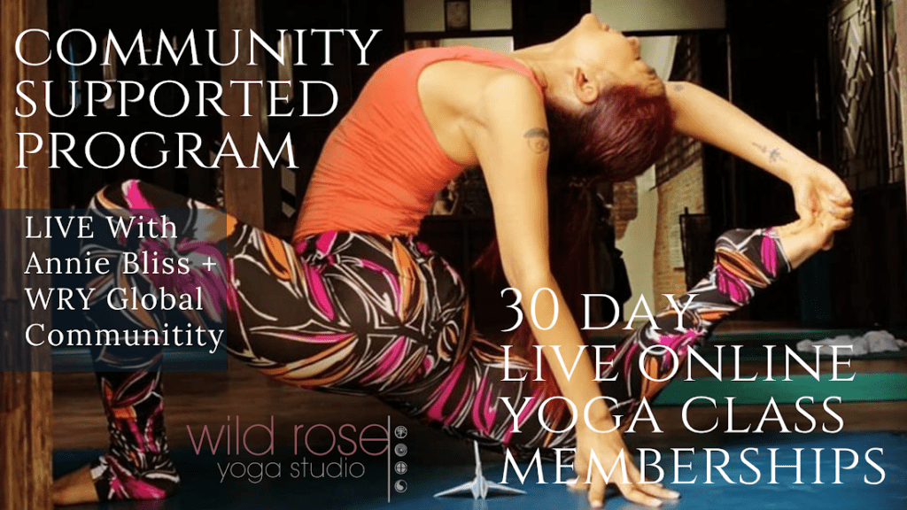 ONLINE LIVE YOGA CLASS Gentle Flow with Annie Wild Rose Yoga Chiang Mai