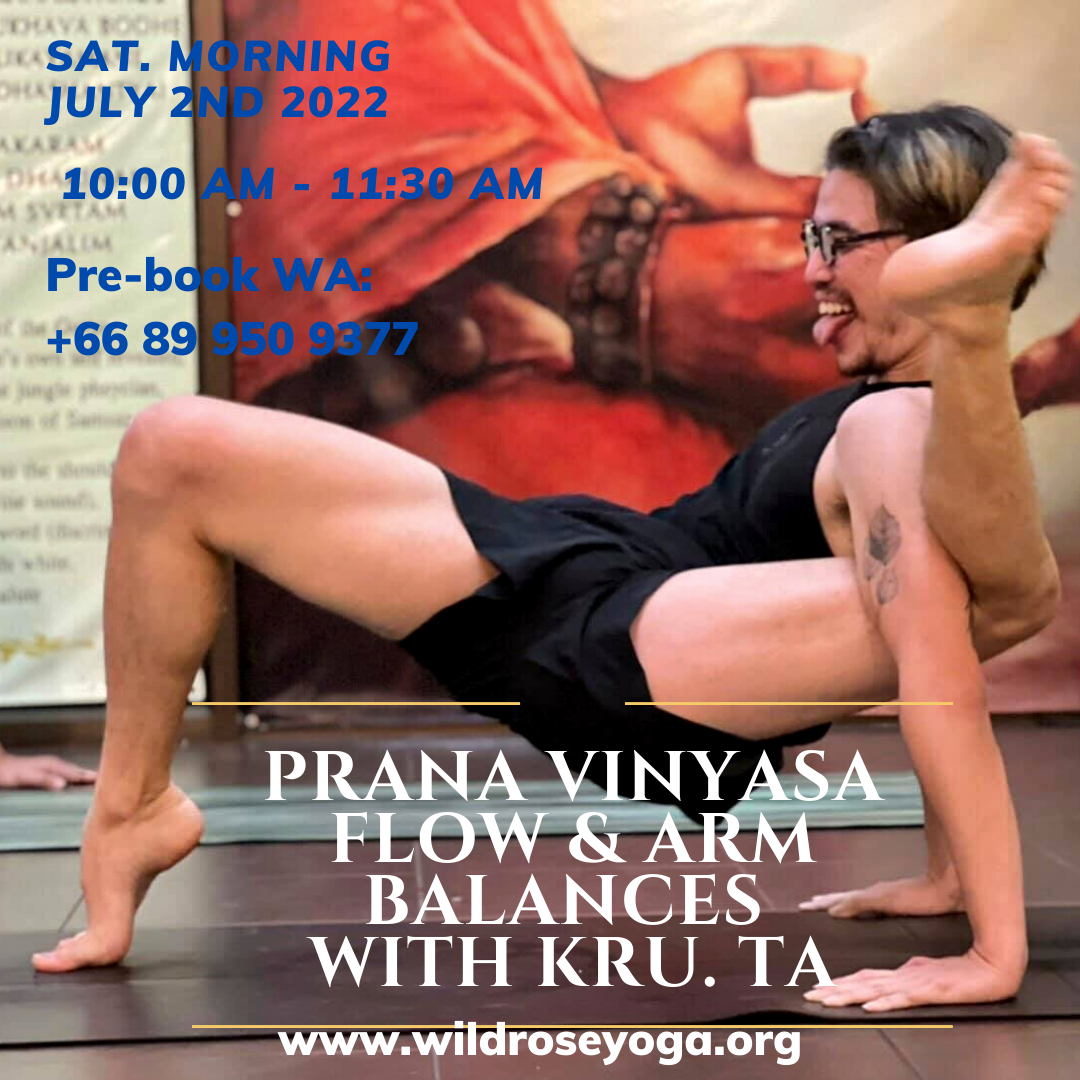 Prana Vinyasa Flow & Arm Balances with Kru. Ta