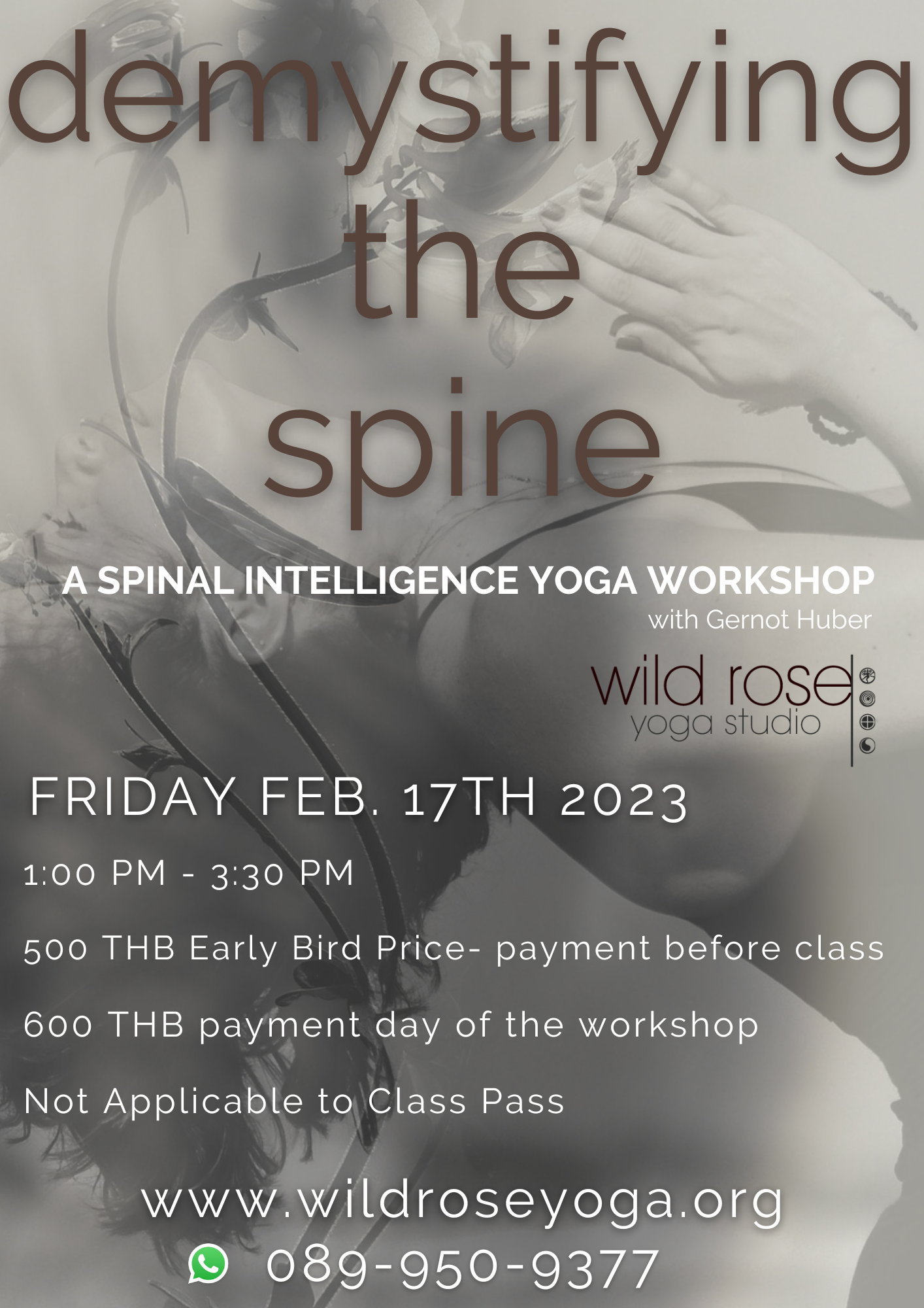 Spinal Intelligence Yoga Workshop in Chiang Mai on February 17th 2023