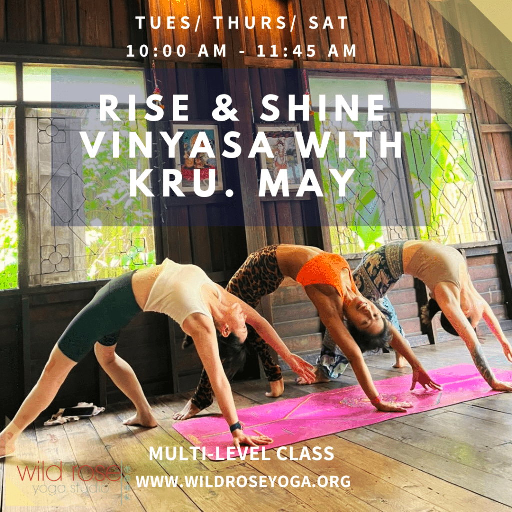 Rise and Shine Multi-level Vinyasa with Kru May