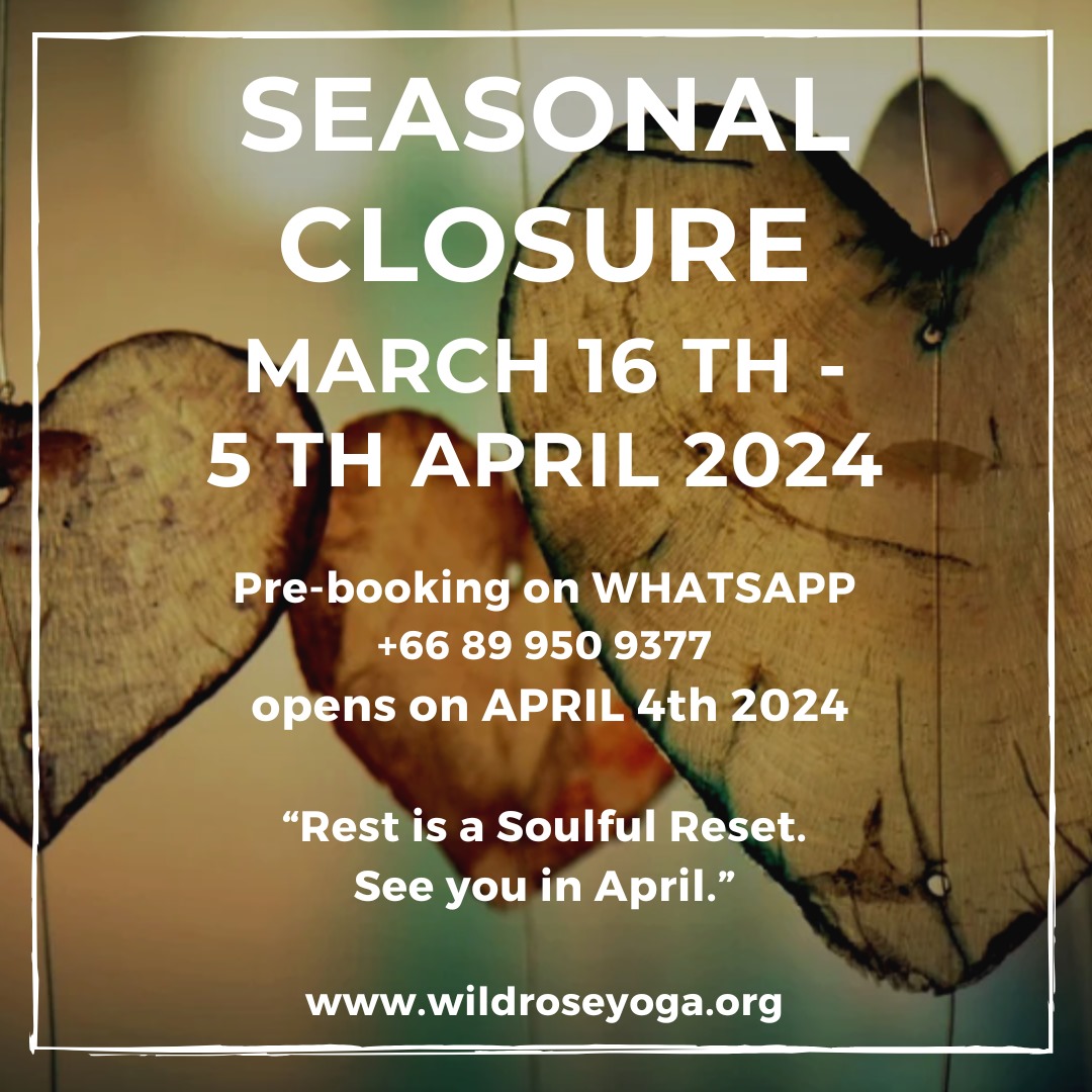 Wild Rose Yoga March 2024 Special Holiday Schedule