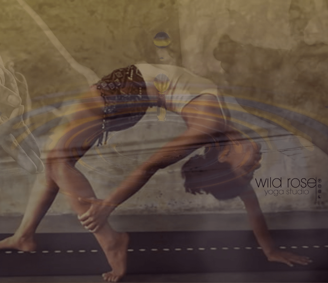 Yoga Chiang Mai Workshop focused on Backbends, Arm Balances & Inversions at Wild Rose Yoga in the Old City